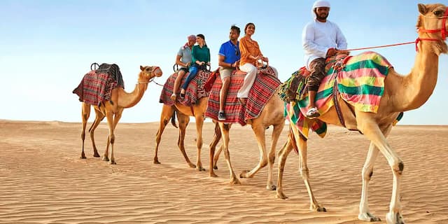 Cultural Exploration